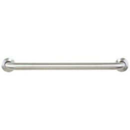 Stainless Steel Conceal Mount Grab Bar